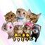 友子ちゃんとお兄ちゃんのサムネイル