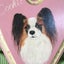 littleprizeのサムネイル