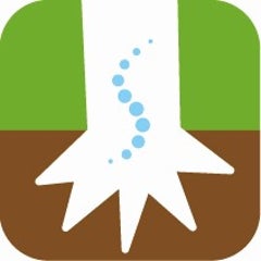ROOTSカイロプラクティックのプロフィール