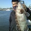 画像 千葉県大原港釣り船「進誠丸」のブログ[マハタ釣り専門]のユーザープロフィール画像