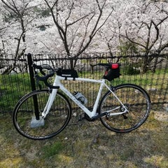 れすとのプロフィール