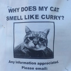 ChubbyCat EATSのプロフィール