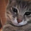 Nyankoのサムネイル
