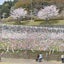 令和の子育て研究家    すーさんのサムネイル