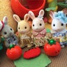 茉莉のプロフィール