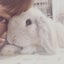 usagino-mochibrouのサムネイル