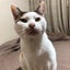 あさみけのサムネイル