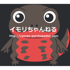 イモリちゃんねるのプロフィール