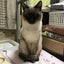みかん箱のサムネイル
