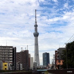 stkrskytreeのプロフィール