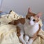 mioのサムネイル