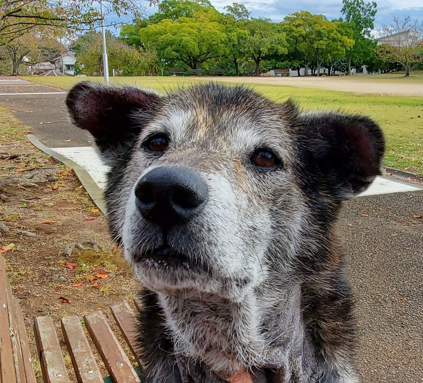 やってみた 気にしたら負け