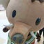 ぐれ丸ピッピーのサムネイル
