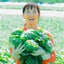 画像 農業女子をもっと輝かせるKURASHI FIT PROJECT！のユーザープロフィール画像