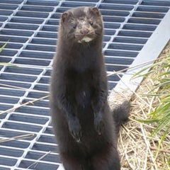 ぽんのプロフィール