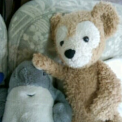 COCOのプロフィール