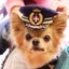 りーこのサムネイル