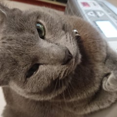 くまごろうのプロフィール