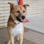 タビィままのサムネイル