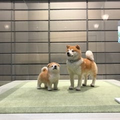 hiromouchan0409のプロフィール