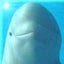 しろぴのサムネイル
