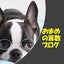 おまめのサムネイル