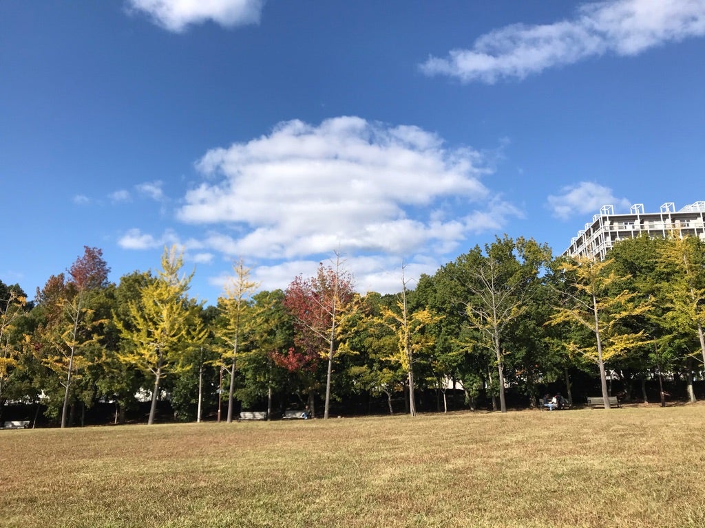 天は赤い河のほとり最終話【28巻 ...