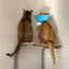 1405aonagoのサムネイル