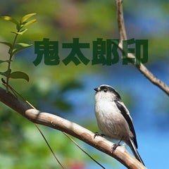 鬼太郎印の等身大人形 鬼太郎印の等身大人形