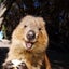 わら子のサムネイル