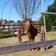 ハッピーうめきち日記☆