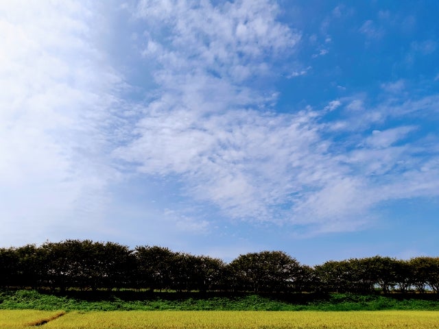 流産診断後8日目 鬼は外福は内