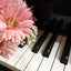 画像 “井戸由美”流　ピアノ道の教えのユーザープロフィール画像