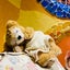 りんのサムネイル