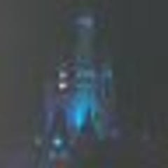 TSのプロフィール