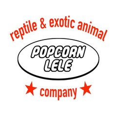 POPCORN  LELE (ポップコーンレレ)のプロフィール