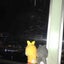 misaki_misaki_misaki1999のサムネイル