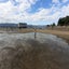 てくてくのサムネイル
