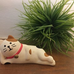 Andy のプロフィール