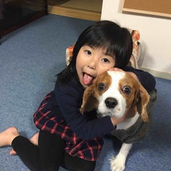 くまんちゅのプロフィール