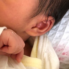 ぴよ太の母のプロフィール