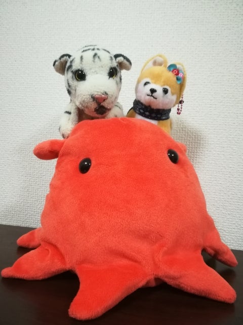 しろとら