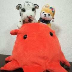 しろとらのプロフィール
