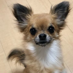 りえのプロフィール