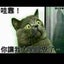 takaucityのサムネイル