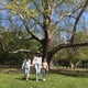 Miranda's Diary【旧ハンガリー日和】のおすすめのサムネイル