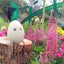 みぽぽんのサムネイル