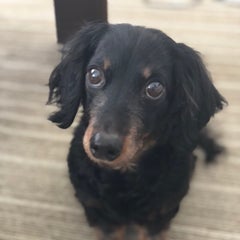 AQUAのプロフィール