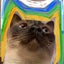 ぴあの猫のサムネイル