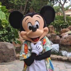 とんちゃんのプロフィール